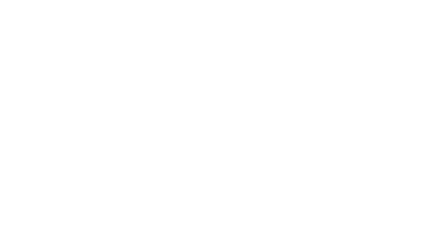 The Bridge
